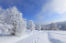 12˵12طóȥ